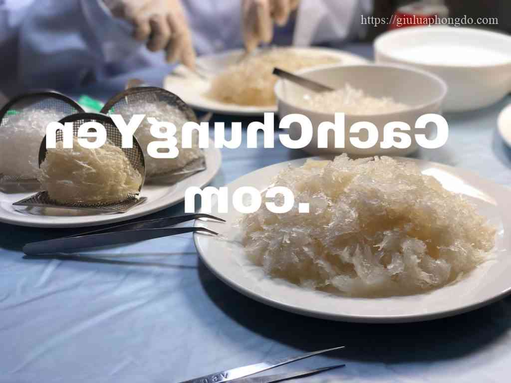 1-lang-yen-tho-duọc-bao-nhieu-yen-tuoi