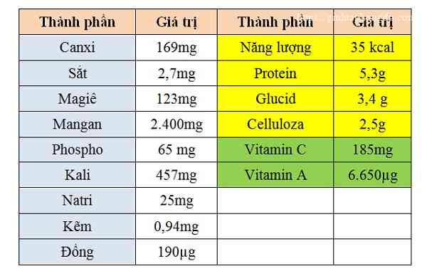 thành phần dinh dưỡng rau ngót