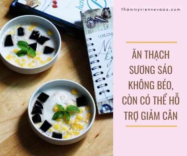 ăn thạch sương sáo có béo không, ăn thạch sương sáo với gì, cách ăn thạch sương sáo, ăn nhiều thạch sương sáo có tốt không, bà bầu ăn thạch sương sáo, thạch sương sáo ăn với sữa chua, thạch sương sáo ăn liền, món ăn ngon thạch sương sáo, bà bầu có được ăn thạch sương sáo, thạch sương sáo calo, thạch sương sáo chứa bao nhiêu calo, 100g thạch sương sáo bao nhiêu calo