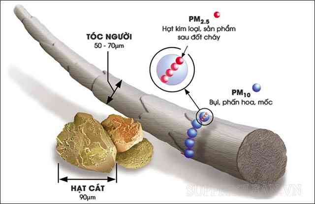 Particulate Matter