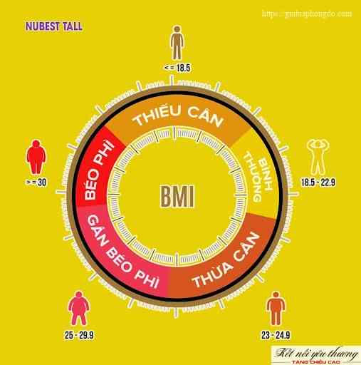 Dựa vào chỉ số BMI bạn sẽ biết mình có đang cân đối không