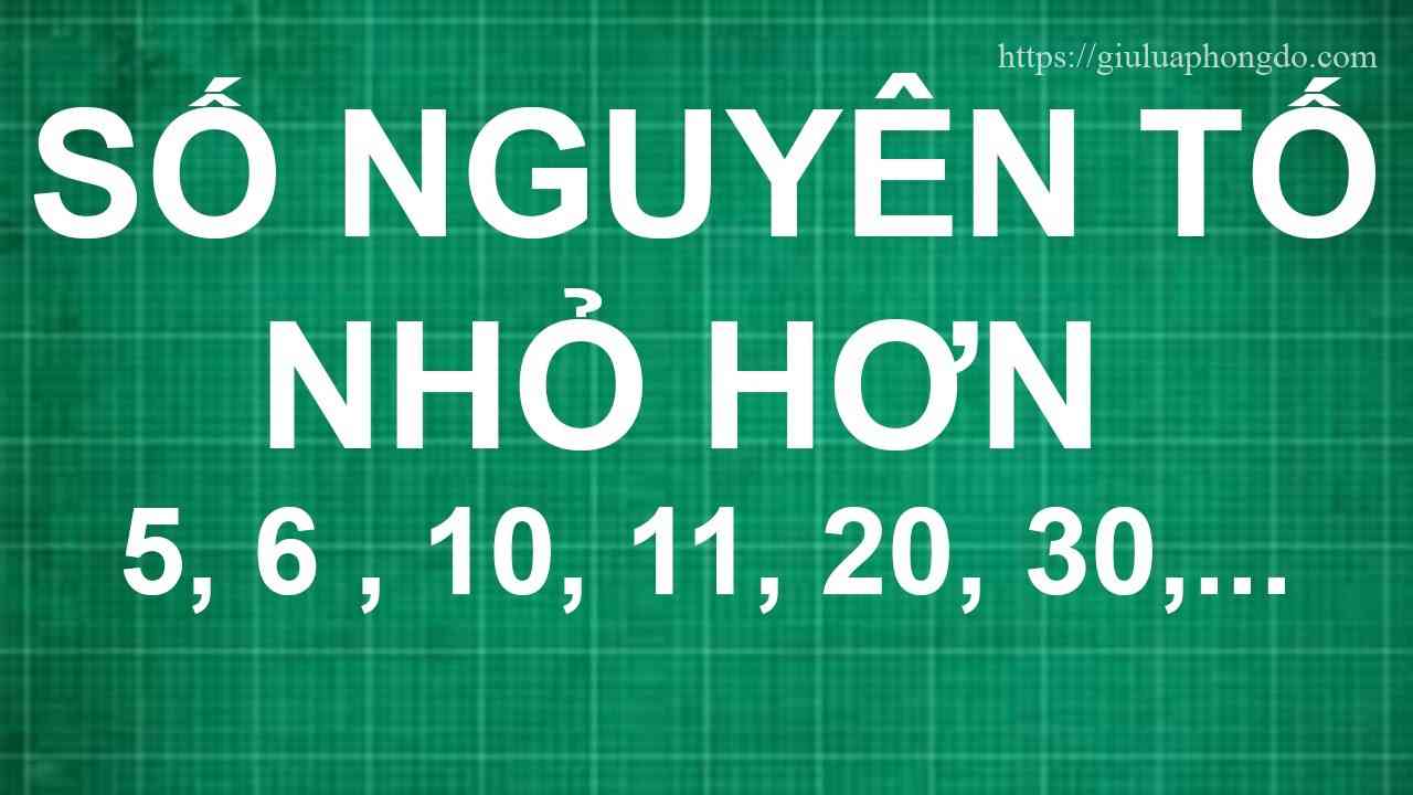 Có Bao Nhiêu Số Nguyên Tố Nhỏ Hơn 20 – Có Bao Nhiêu Số Nguyên Tố Nhỏ Hơn 20 A. 9 Số B. 10 Số C. 11 Số D. 12 Số