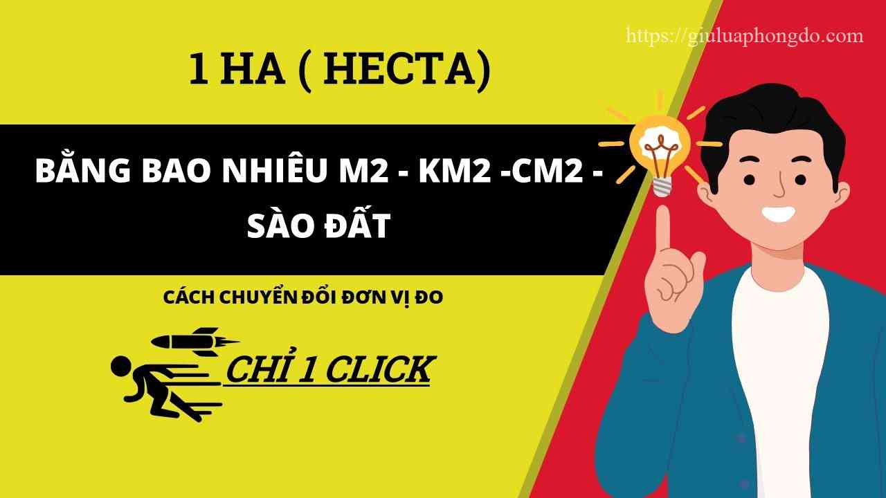 530Dm2 Bằng Bao Nhiêu Cm2 – 300Dm2 Bằng Bao Nhiêu M2