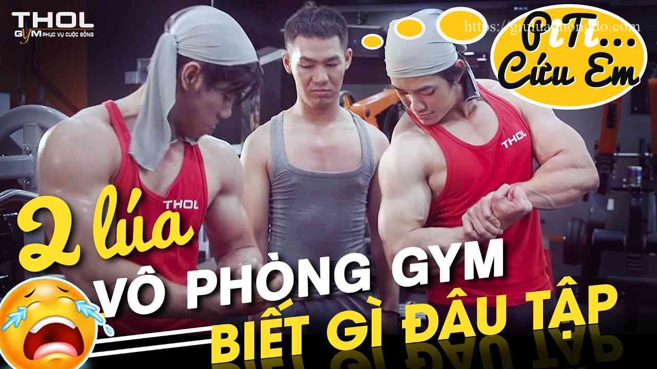 Thuê Pt Tập Gym Giá Bao Nhiêu – Giá Thuê Pt Gym Hà Nội