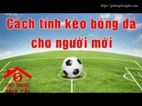 0 75 Bằng Bao Nhiêu – 0 7 Bằng Bao Nhiêu Phần Trăm