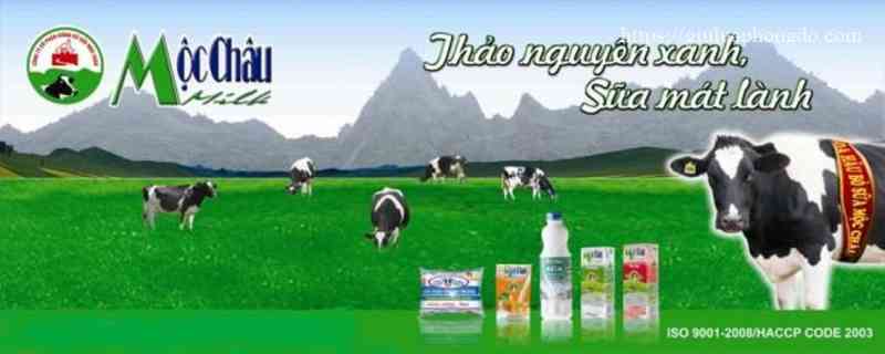 Thùng Sữa Vinamilk 110Ml Giá Bao Nhiêu – Các Loại Sữa Tươi 110Ml