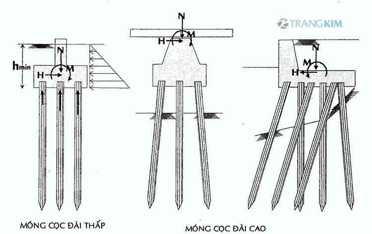 Theo cấu tạo 1