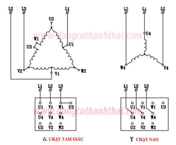 Cách đấu điện động cơ điện 3 pha