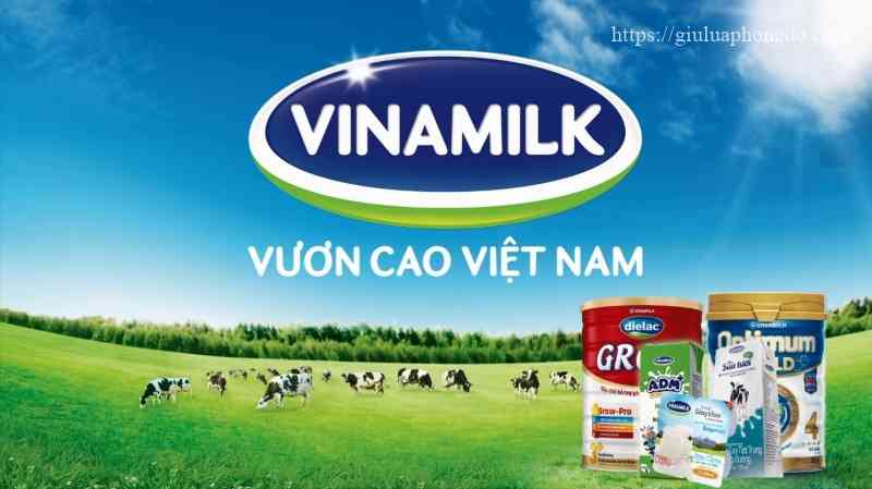 Các dòng sản phẩm sữa tươi (1)