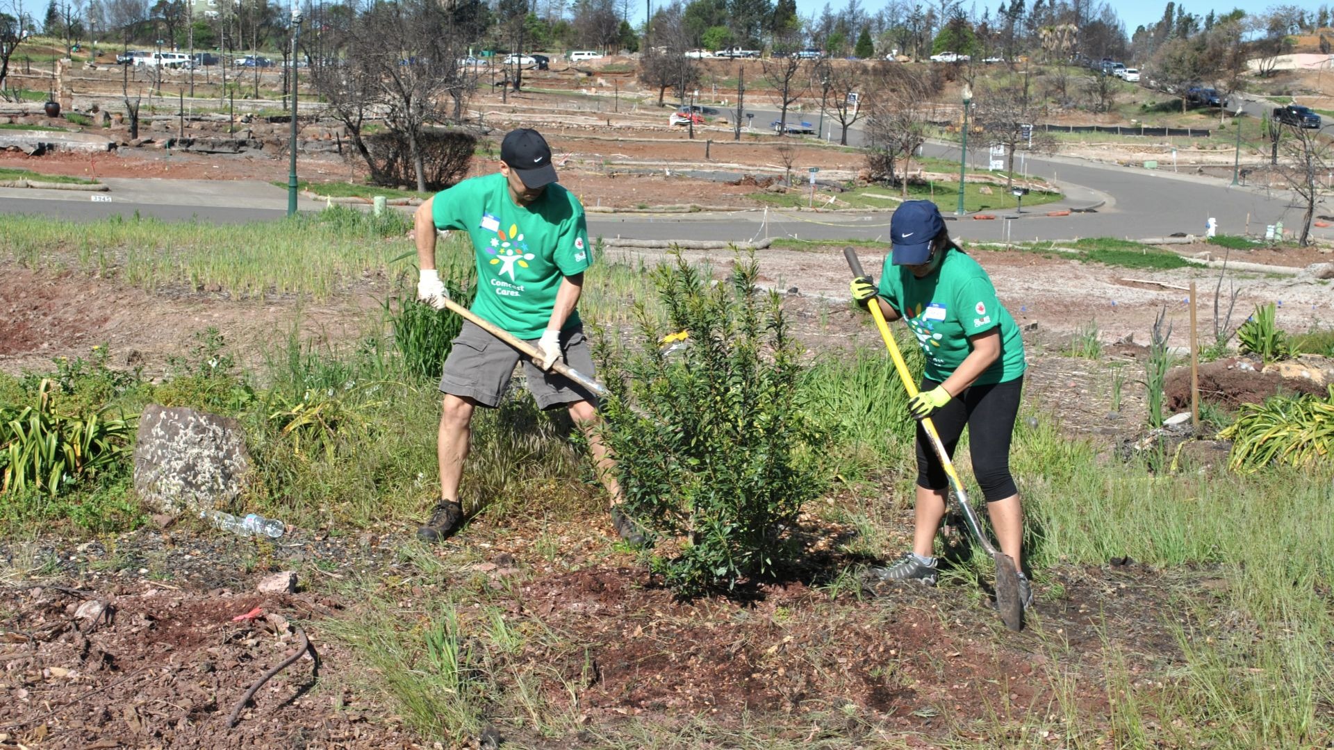 Unveiling the Truth Arbor Day Foundation Scandal Exposed