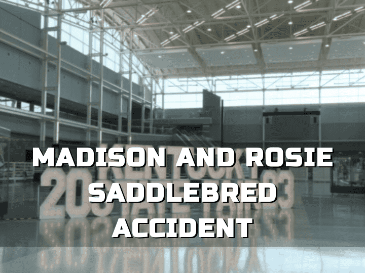 Madison and Rosie Saddlebred Accident Sends Shockwaves