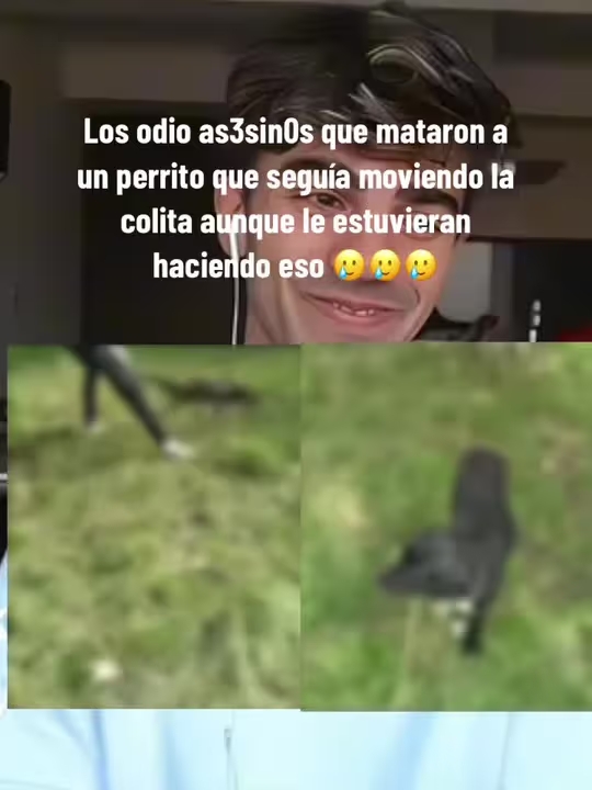 Descubre el impactante Joseloza495 video original del perro
