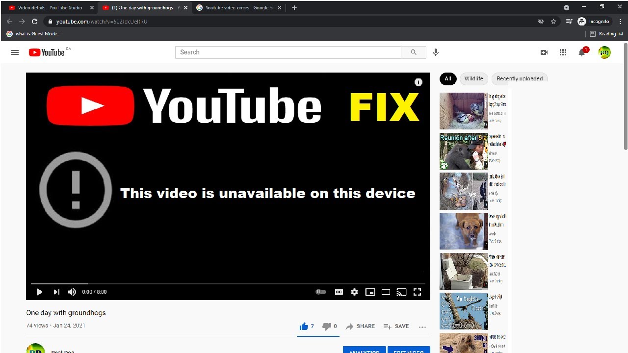 Video unavailable en français – Découvrez les alternatives !