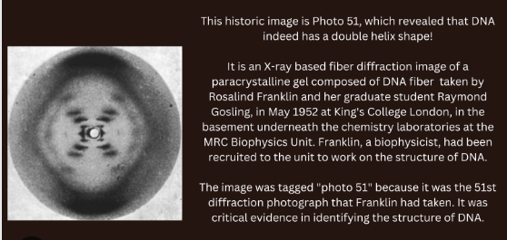 Descubre la historia y legado de la foto NR 51 rosalind franklin