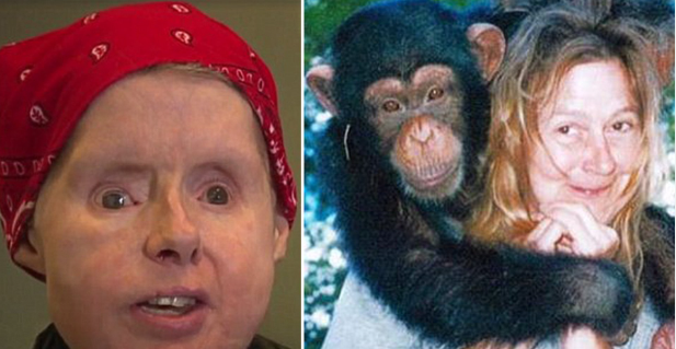 The Travis Chimp Incident – A Tragic Event That Shook America