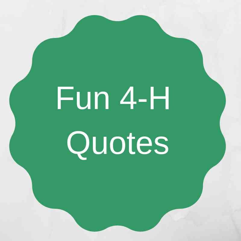 4 h quotes