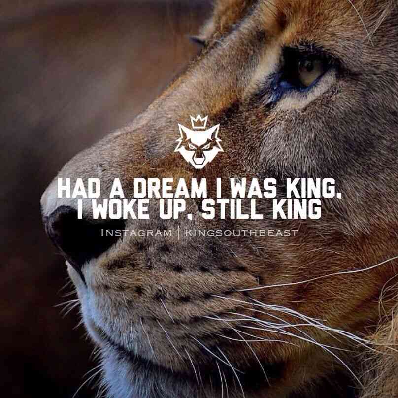 attitude king quotes