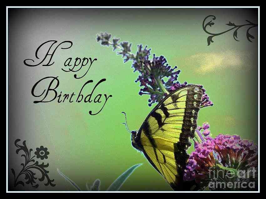 butterfly birthday quotes
