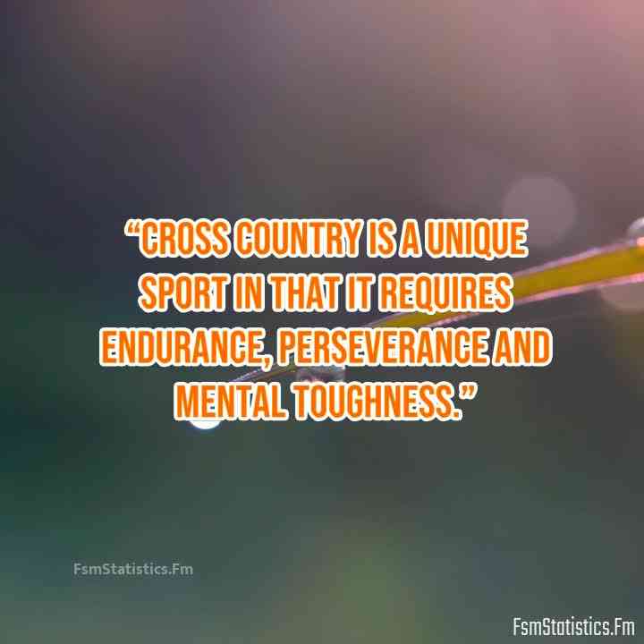 Inspirational Cross Country Quotes