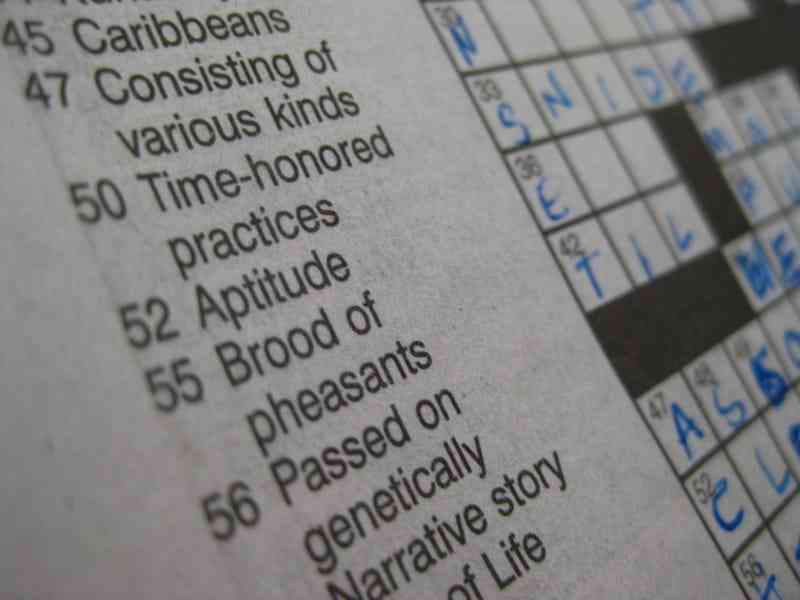 disclaimer in a quote crossword clue