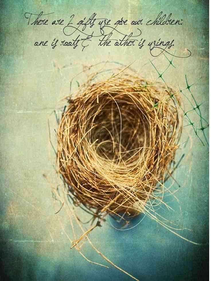 empty nest syndrome funny quotes