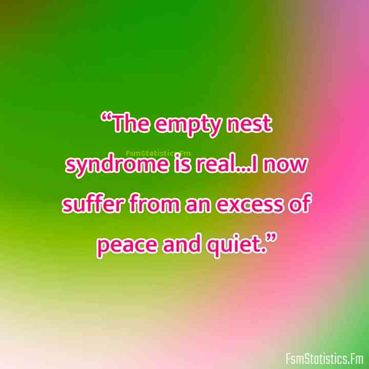 empty nest syndrome funny quotes