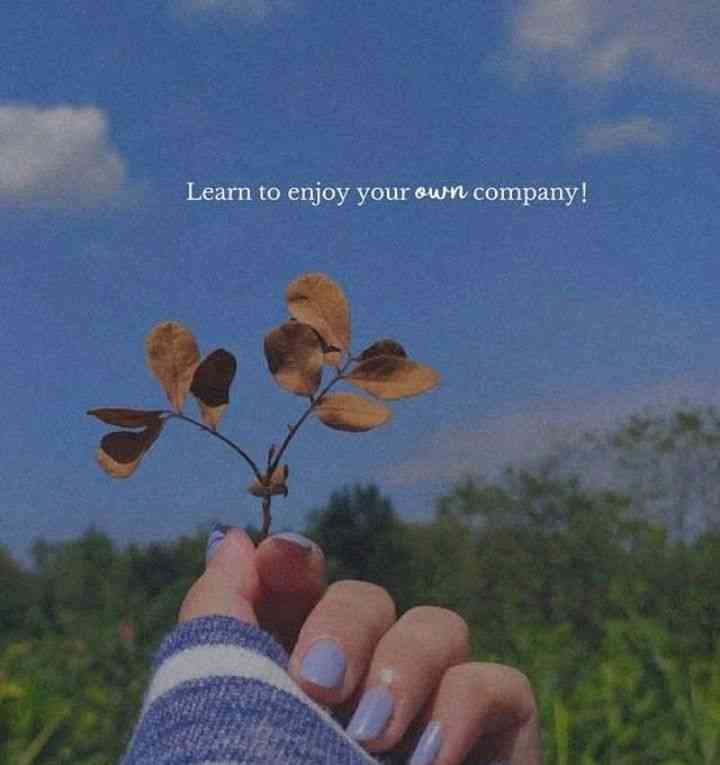 enjoy your own company quotes