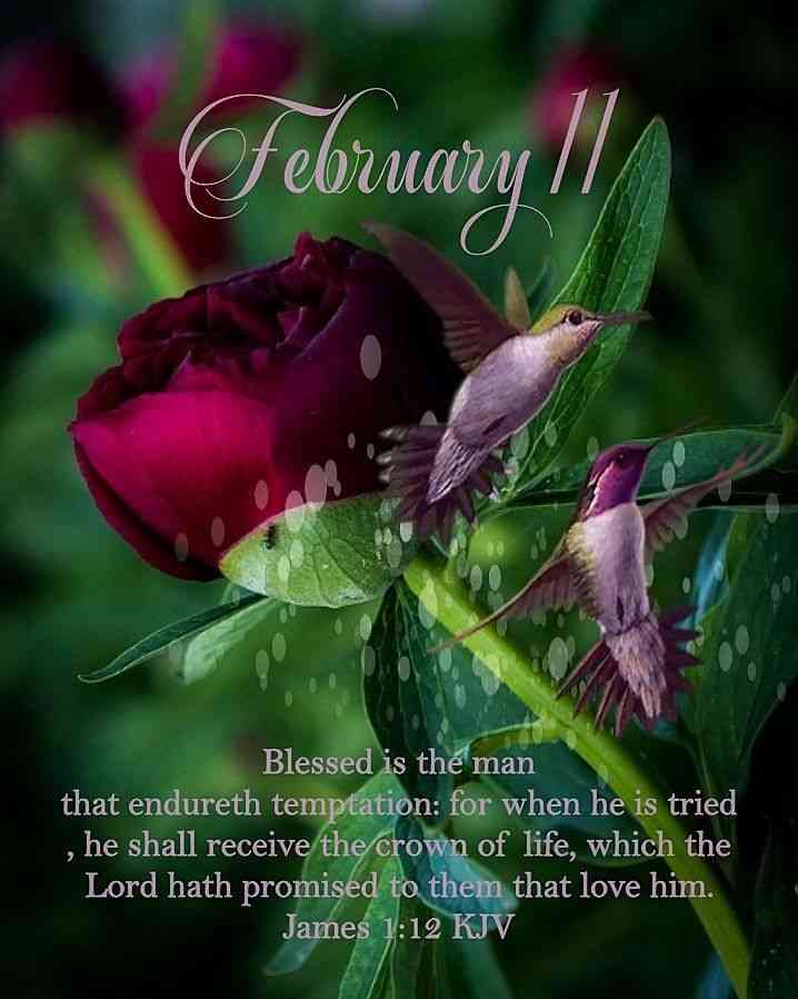 february birthday quotes