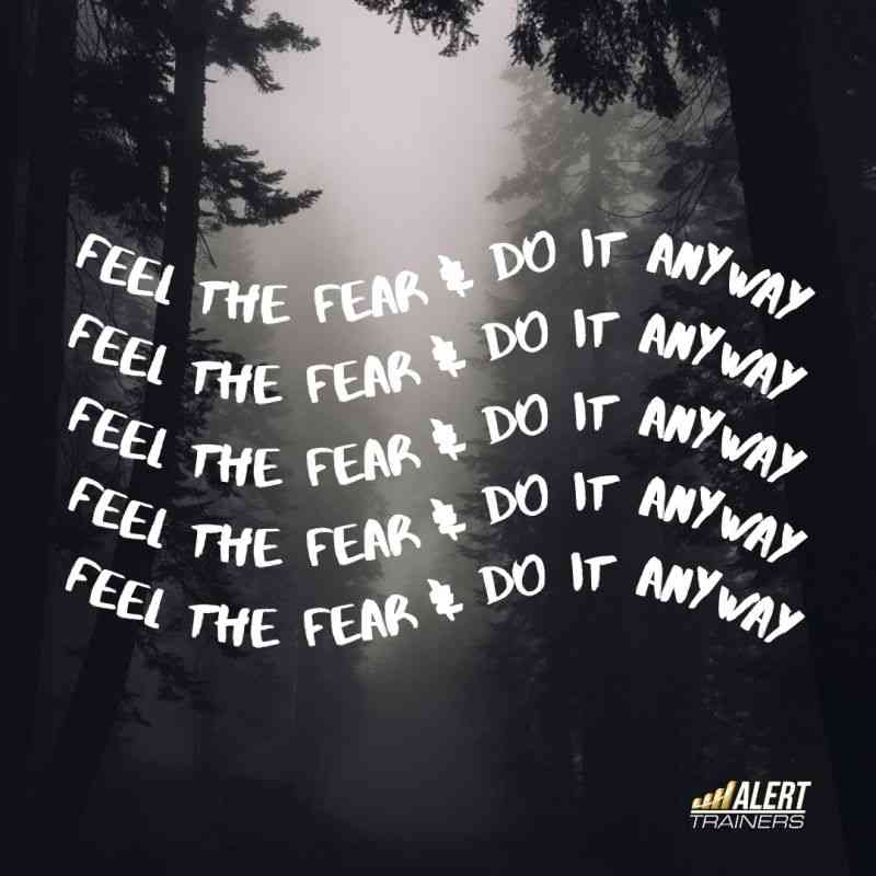 feel the fear and do it anyway quotes