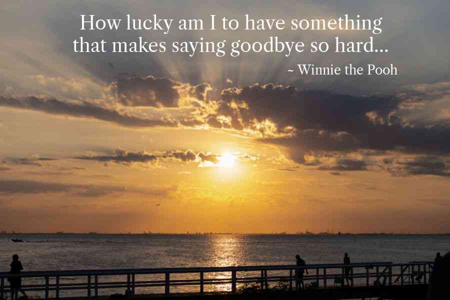 funeral goodbye winnie the pooh quotes