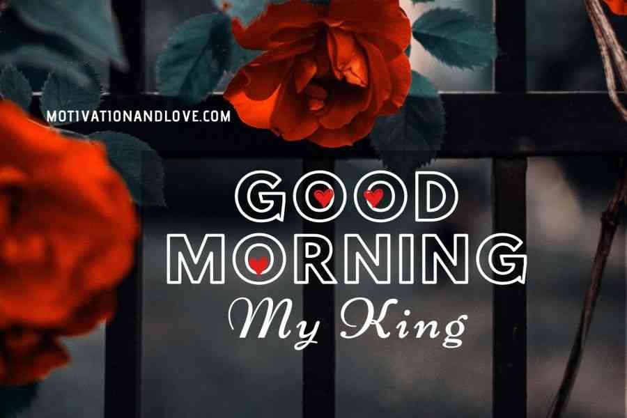 good morning black king quotes