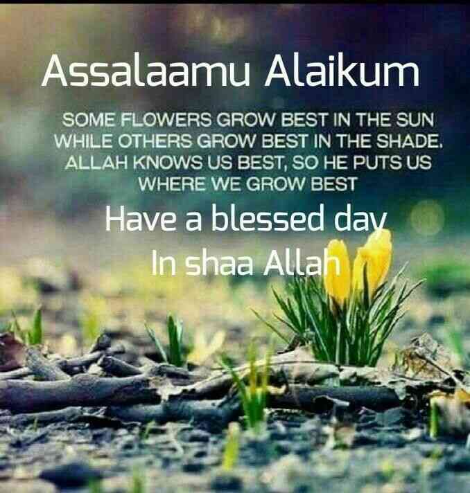 good morning islamic quotes