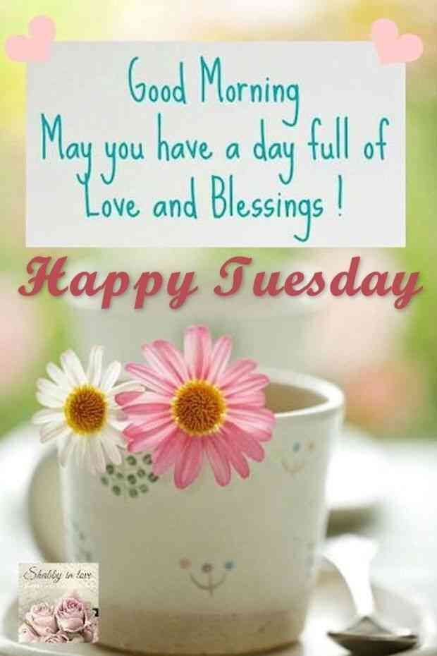 good morning quotes for tuesday