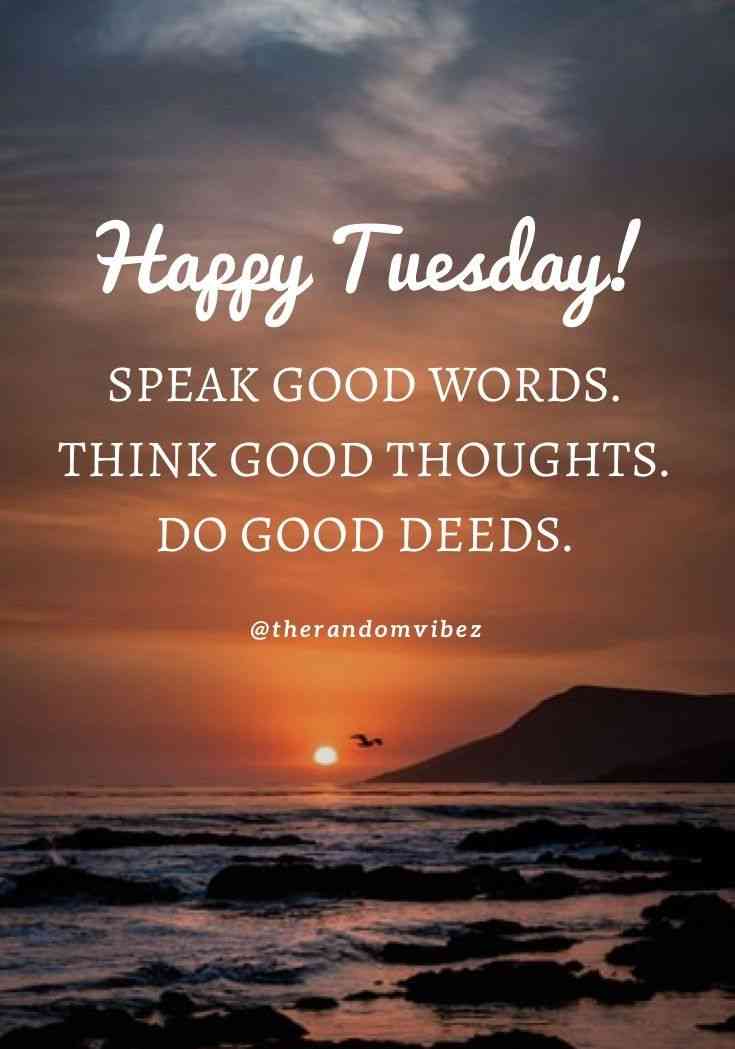 good morning quotes on tuesday