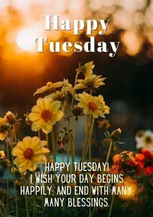 good morning tuesday quotes