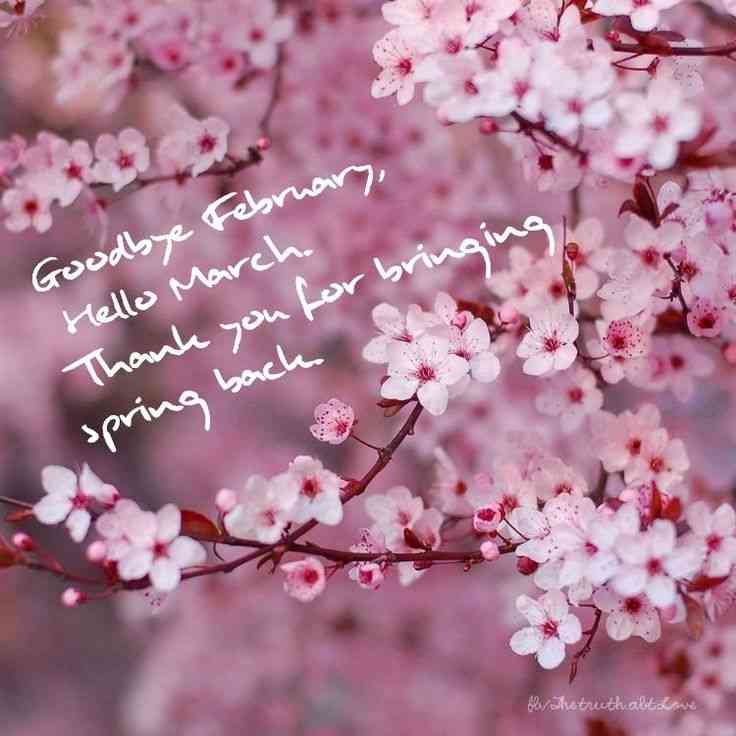 goodbye february hello march quotes