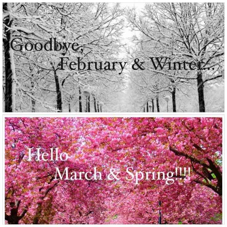 goodbye february hello march quotes