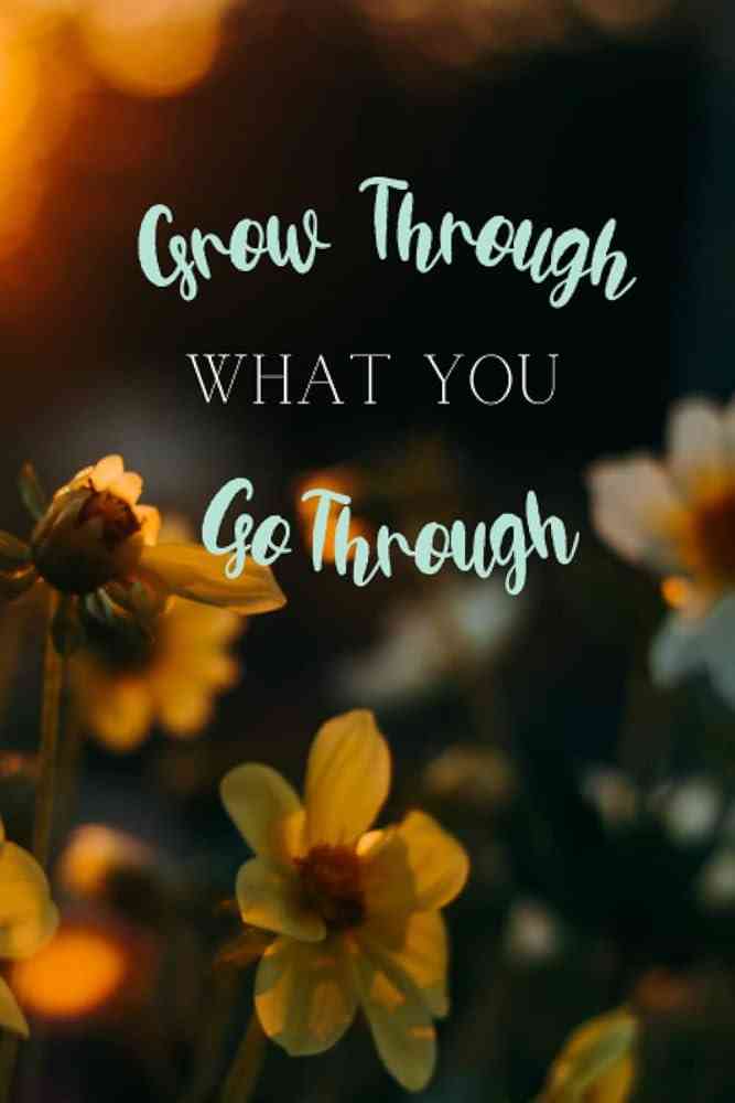 Growing Through What You Go Through