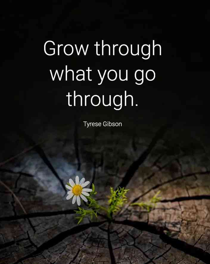 grow through what you go through quote