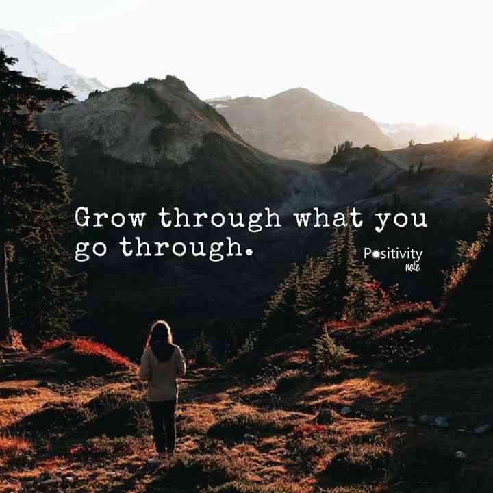 grow through what you go through quote