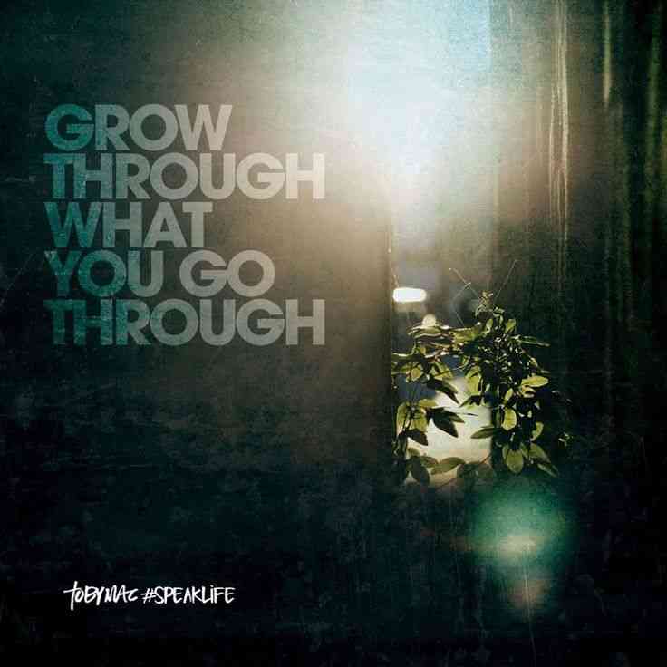 grow through what you go through quote