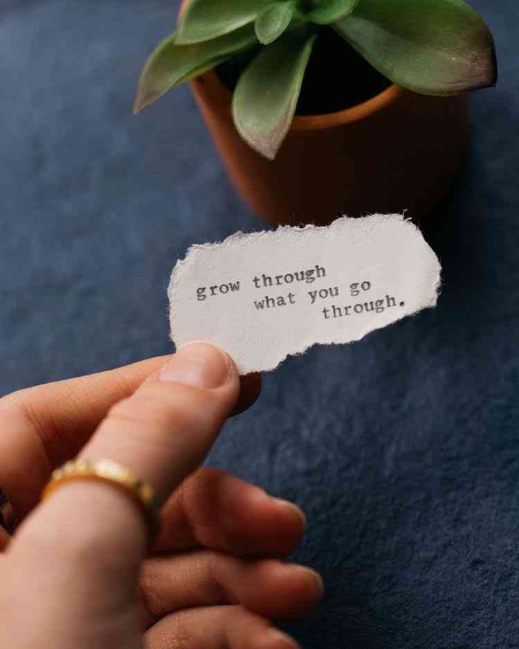 grow through what you go through quote