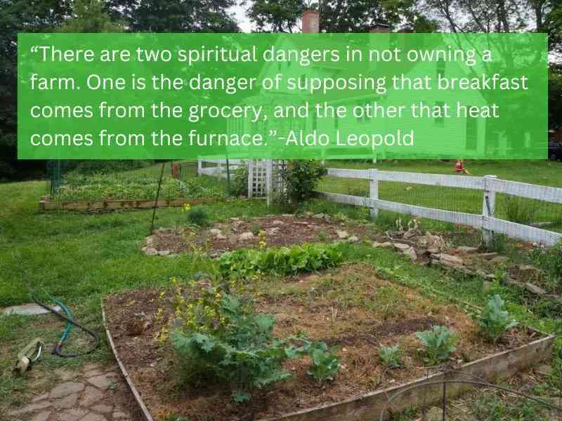 homesteading quotes