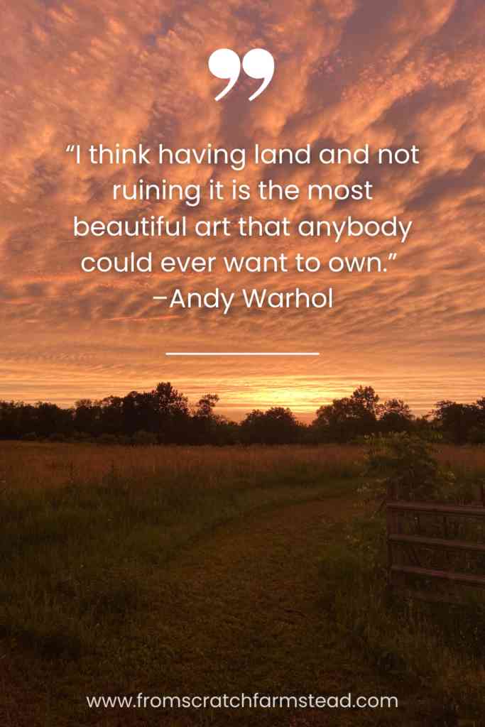 homesteading quotes