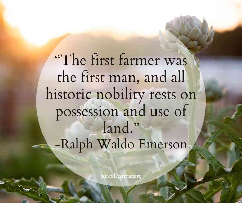 homesteading quotes