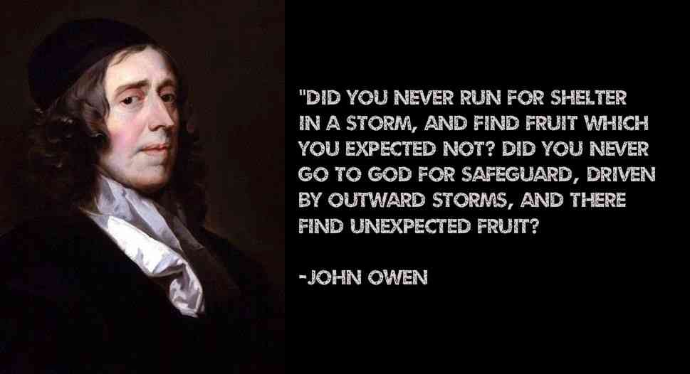 john owen quotes