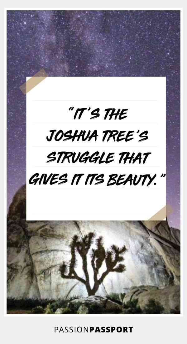 joshua tree quotes