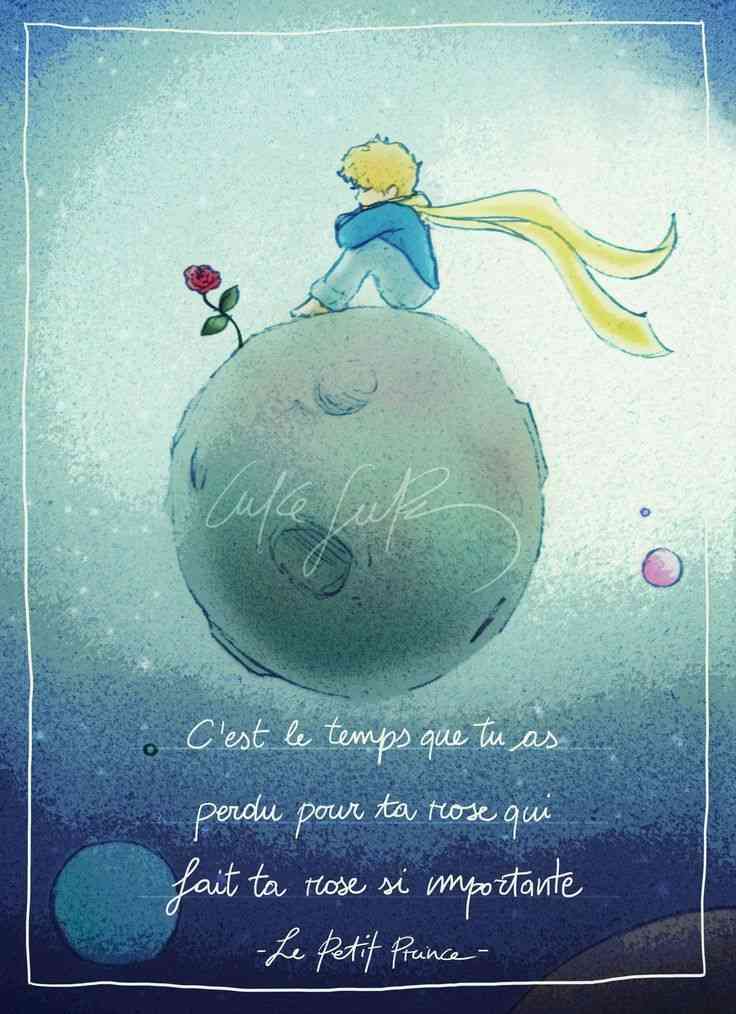 le petit prince quotes in french