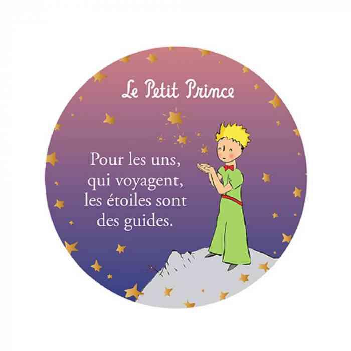 le petit prince quotes in french