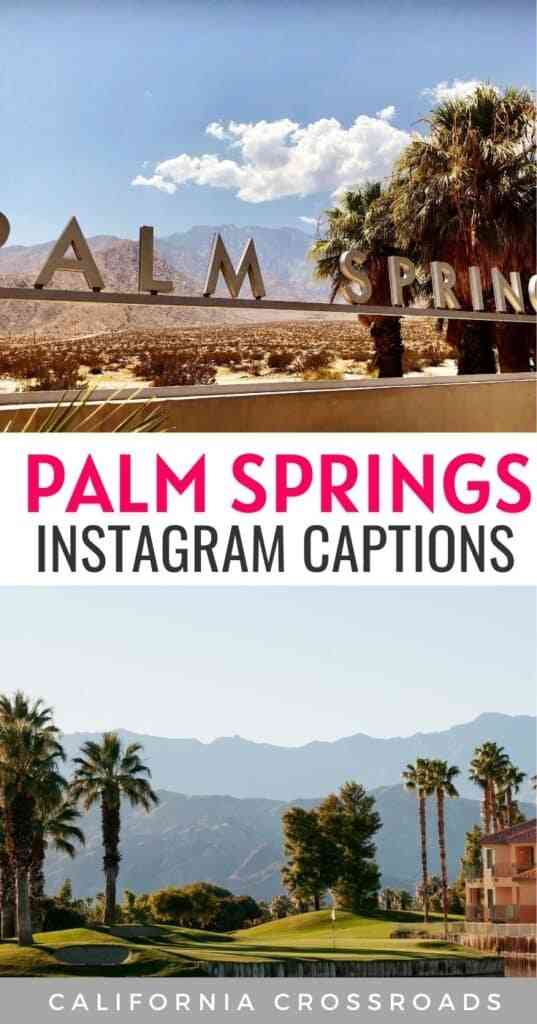 palm springs quotes